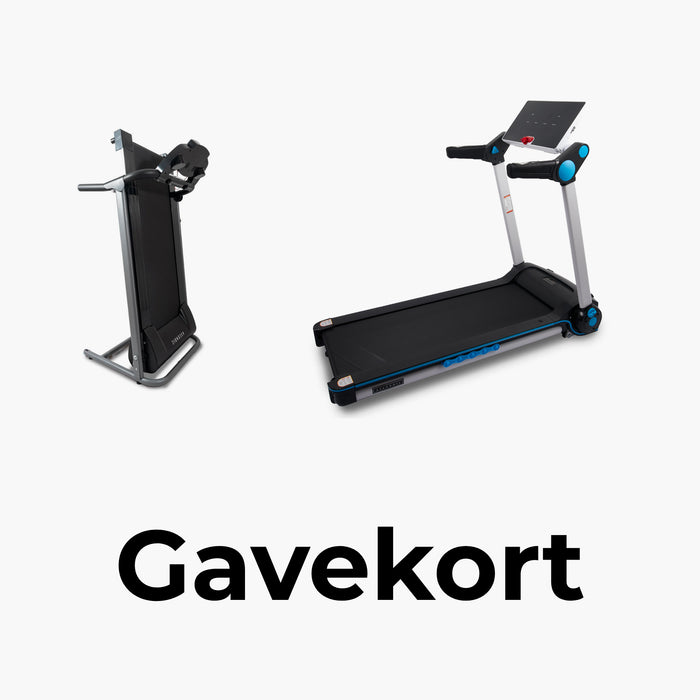 Ascendic Gavekort